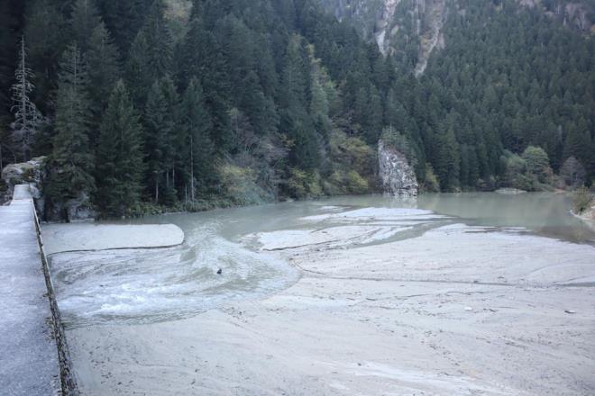 Uzungl' besleyen Haldizen Deresi zerindeki tersip bentlerinin temizlenmemesi gsterilirken DS geen gnlerde gln amur ve balkla dolmamas iin tersip bentlerinin temizlemek iin alma balatt.
