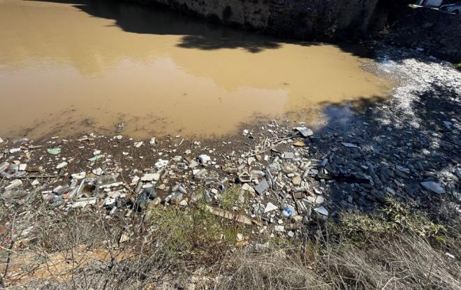 Blgenin temizlenmesi iin belediye ekiplerince alma balatld.    te yandan denizin rengi de kahverengiye dnt.