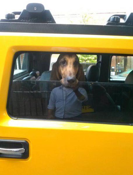 Birbirinden ilgin gz yanlmalar