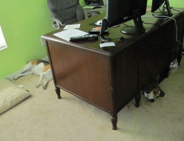 Birbirinden ilgin gz yanlmalar