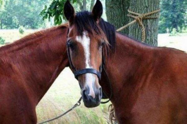 Birbirinden ilgin gz yanlmalar