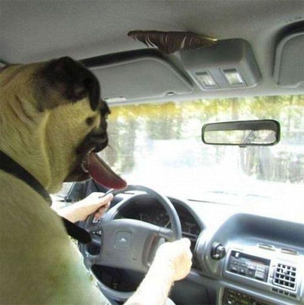 Birbirinden ilgin gz yanlmalar