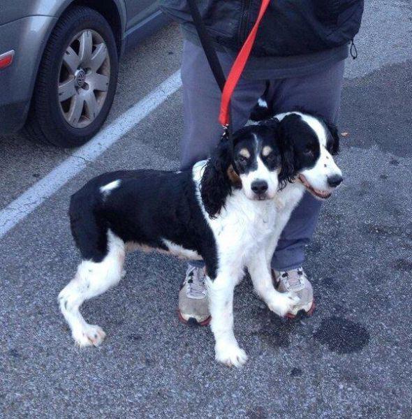 Birbirinden ilgin gz yanlmalar