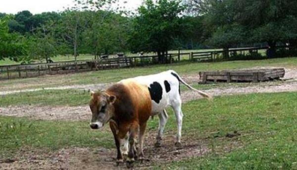 Birbirinden ilgin gz yanlmalar