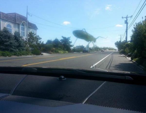 Birbirinden ilgin gz yanlmalar