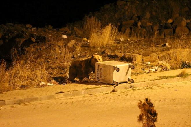 Blge sakini Yavuz Ural, aylarn srekli Sarkam'ta gezdiini ifade etti.