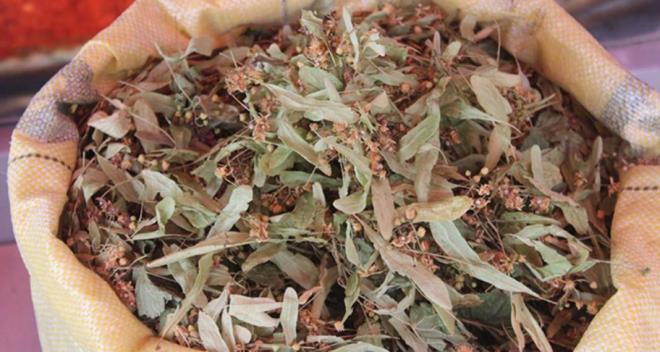 Biraz tarnla beraber iildiinde balgam atmanza yardmc olur. Havlcanla beraber ka kar direnli olabilirsiniz.