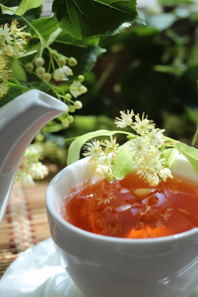 Ihlamur ierisinde bulundurduu gl antioksidanlardan flavonoid nedeniyle daha ok k aylarnda grlen gribal enfeksiyonlar, souk algnl ve nezle tedavisinde olduka etkilidir.