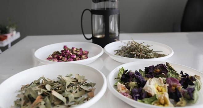 Ihlamur ay nasl demlenir?<p>    1 bardak su kaynatlr. 1 tutam hlamur iei konur. 10 dakika bekletilir. Gnde 2-4 bardak iilir. 1-2 dakika kaynatlr. 5-10 dakika dinlendirilir. Scak olarak 1 ay barda iilir. Ihlamur, Kuburnu, Papatya, Nane ve Hatmi, eit oranda, ince kylm olarak kartrlr. 1 tatl ka dolusu ince kylm bitki, 1 bardak kaynatlm suya atlr.1-2 dakika kaynatlr. 5-10 dakika demlendirilir. Sonra szlr. Biraz bal ile tatlandrlarak, scak iilmelidir. Ihlamur mide salgsn arttrarak hazm kolaylatrr. ine szme bal ve st ile kartrlrsa mide lserine iyi gelir. 4 bardak suya 40 gr hlamur aac kabuklar, yaprak ve iekleri konur. Su 1,5 bardak kalana kadar kaynatlr. Yemek aralarnda 1 fincan souk ve scak olarak iilir 10- 20 gnlk krler yaplr. 2-4 yl devam edilir.