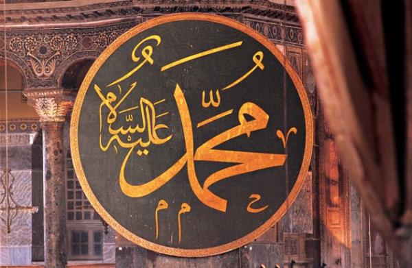 Hukuk / Avukatlk brolarna: