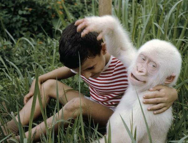 Aknlk ender de olsa, zeka gerilii ya da bedensel gerilikle birlikte olabilir.