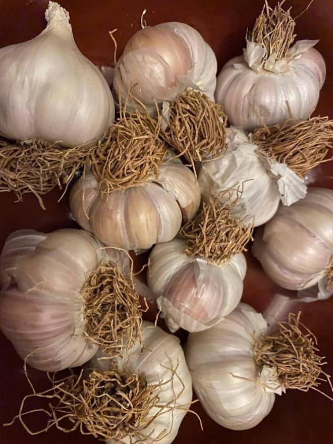 HAZIRLANMASI VE KULLANILMASI: