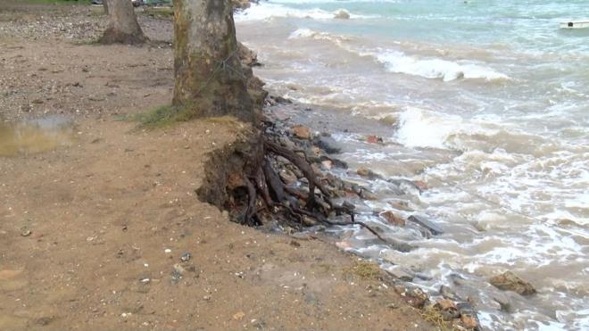 Frtnann etkisiyle denizin rengi kahverengiye dnd.