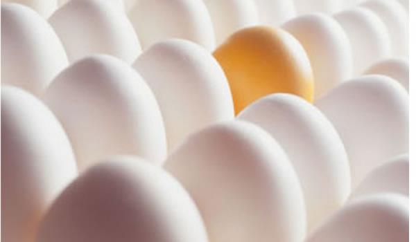 <p><b>Oysa her iki gr de yanltr. Besin deeri, lezzet ve pime karakteristikleri bakmndan her iki renk yumurtann da ii ayn deerdedir.</b></p>