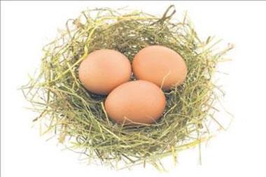 <p><b>Eer hemen duruyorsa taze yani pimemi, biraz daha uzun sre dnmeye devam ediyorsa ii kat yani halanm demektir.</b></p>