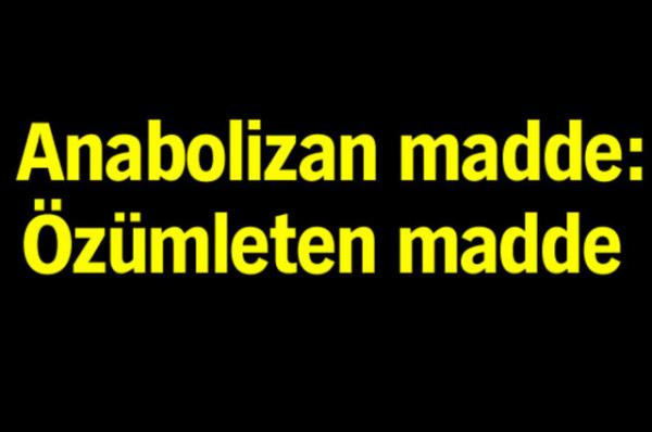Trk Dil Kurumu'nun oluturduu alma grubu tp terimlerine Trke karlk aryor.
