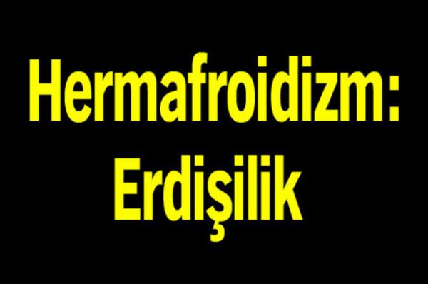 Trk Dil Kurumu'nun oluturduu alma grubu tp terimlerine Trke karlk aryor.