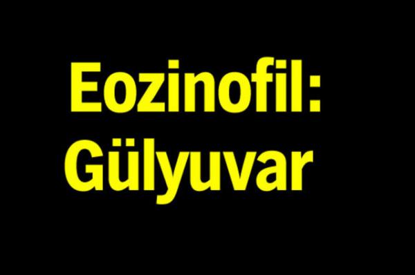 Trk Dil Kurumu'nun oluturduu alma grubu tp terimlerine Trke karlk aryor.