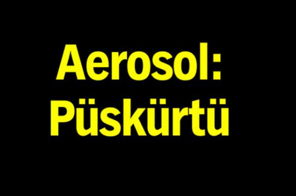 Trk Dil Kurumu'nun oluturduu alma grubu tp terimlerine Trke karlk aryor.