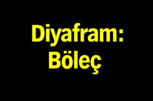 Trk Dil Kurumu'nun oluturduu alma grubu tp terimlerine Trke karlk aryor.