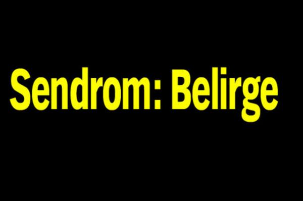 Trk Dil Kurumu'nun oluturduu alma grubu tp terimlerine Trke karlk aryor.