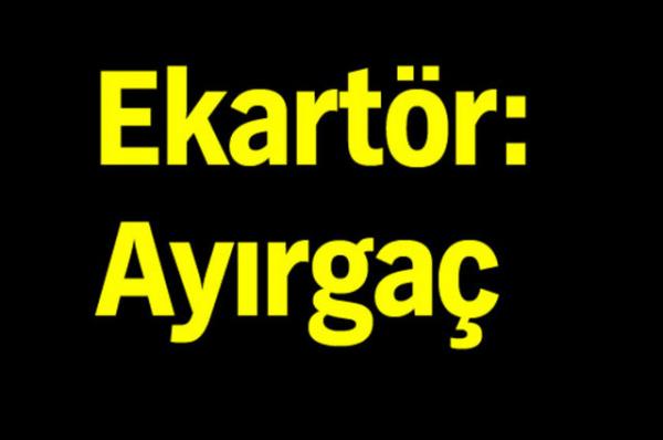 Trk Dil Kurumu'nun oluturduu alma grubu tp terimlerine Trke karlk aryor.