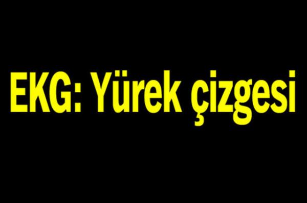 Trk Dil Kurumu'nun oluturduu alma grubu tp terimlerine Trke karlk aryor.