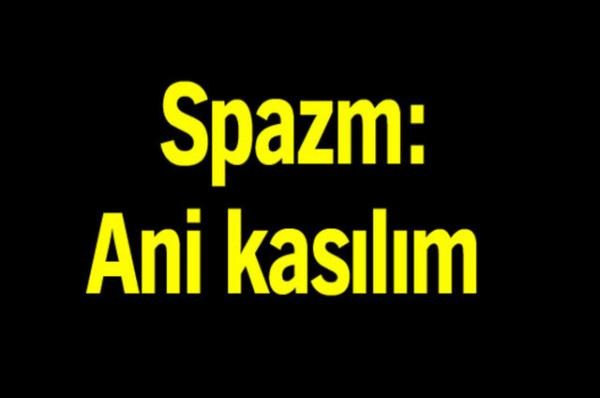 Trk Dil Kurumu'nun oluturduu alma grubu tp terimlerine Trke karlk aryor.