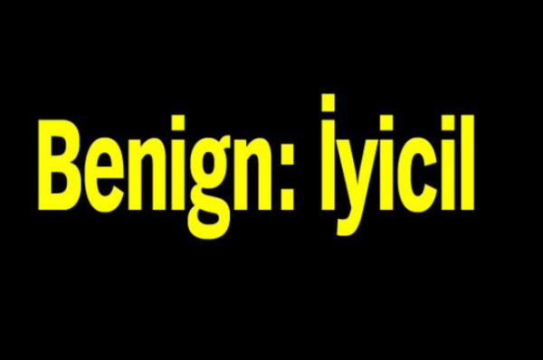 Trk Dil Kurumu'nun oluturduu alma grubu tp terimlerine Trke karlk aryor.