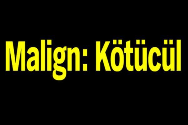 Trk Dil Kurumu'nun oluturduu alma grubu tp terimlerine Trke karlk aryor.