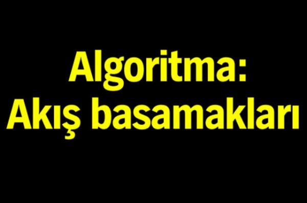 Trk Dil Kurumu'nun oluturduu alma grubu tp terimlerine Trke karlk aryor.