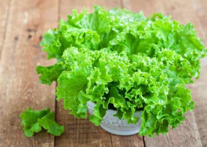 "Yeilliklerin devreye girdii yer de burasdr. Hormon retiminin paras olan tm endokrin sistemi desteklemek ve stabilize etmek iin harikadrlar."