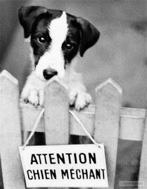 Fotoraftaki gizli espri