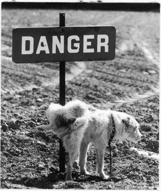 Fotoraftaki gizli espri