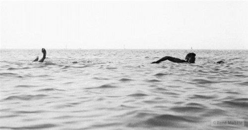 Fotoraftaki gizli espri