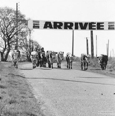 Fotoraftaki gizli espri