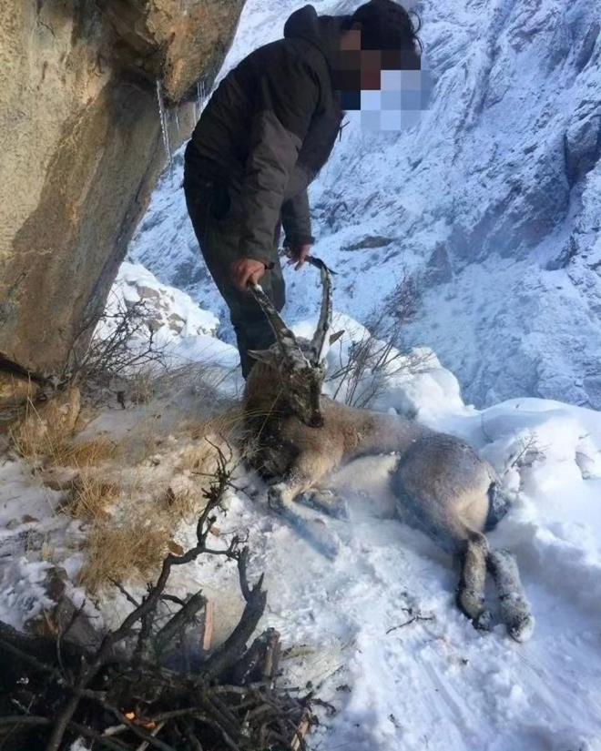 Karla kapl arazide vurduklar da keisi ve ayyla ektirdikleri fotoraflar sosyal medya hesaplarndan paylaan 5 avcya toplam 5 milyon 207 bin 178 TL idari para cezas kesildi.