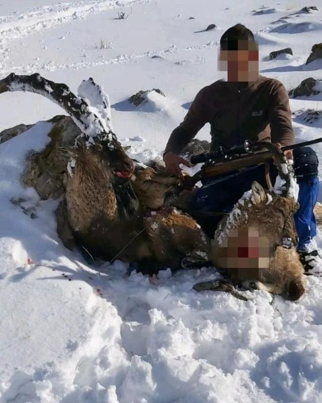 Kolluk kuvvetleri tarafndan kaak avclk yapan 5 kii hakknda ayrca yasal ilem de balatld.