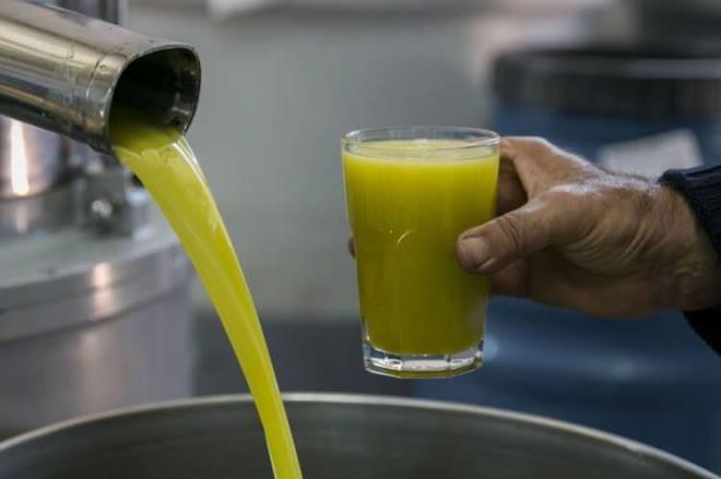 2- Zeytinyann kokusunu mutlaka kontrol edin.  Zeytinyan kokladnzda alacanz koku taze zeytin aromas olmaldr. Sert veya metalik bir koku hissediyorsanz, zeytinya sahte olabilir.