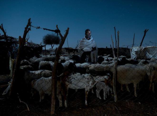 Chacha, Hindistan  <br>  Tac Muhammed, Rajasthan'ın çöl manzarasında koyun ve keçilerinin arasında duruyor. 1998'de çocukken Muhammed, Hindistan yakınlardaki Pokhran sahasında yer altı nükleer testleri yürüttüğünde yerin sarsıldığını hissetti ve devasa bir toz bulutuna tanık oldu. Hindistan şu anda nükleer silahlara sahip dokuz ülkeden biri.  <br>  FOTOĞRAF: CHİNKY SHUKLA
