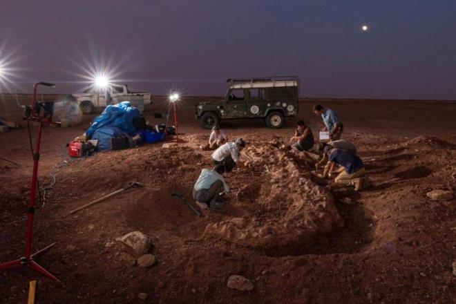 Tenere bölgesi Nijer<br>    Sahra'da, Kaşif Paul Sereno liderliğindeki bir paleontolog ekibi bir sauropod iskeleti kazıyor. Chicago Üniversitesi'ne gönderildikten sonra keşif gezisinin bulguları temizlenecek, incelenecek ve daha sonra Nijer'e iade edilecek.  <br>  FOTOĞRAF: KEITH LADZINSKI