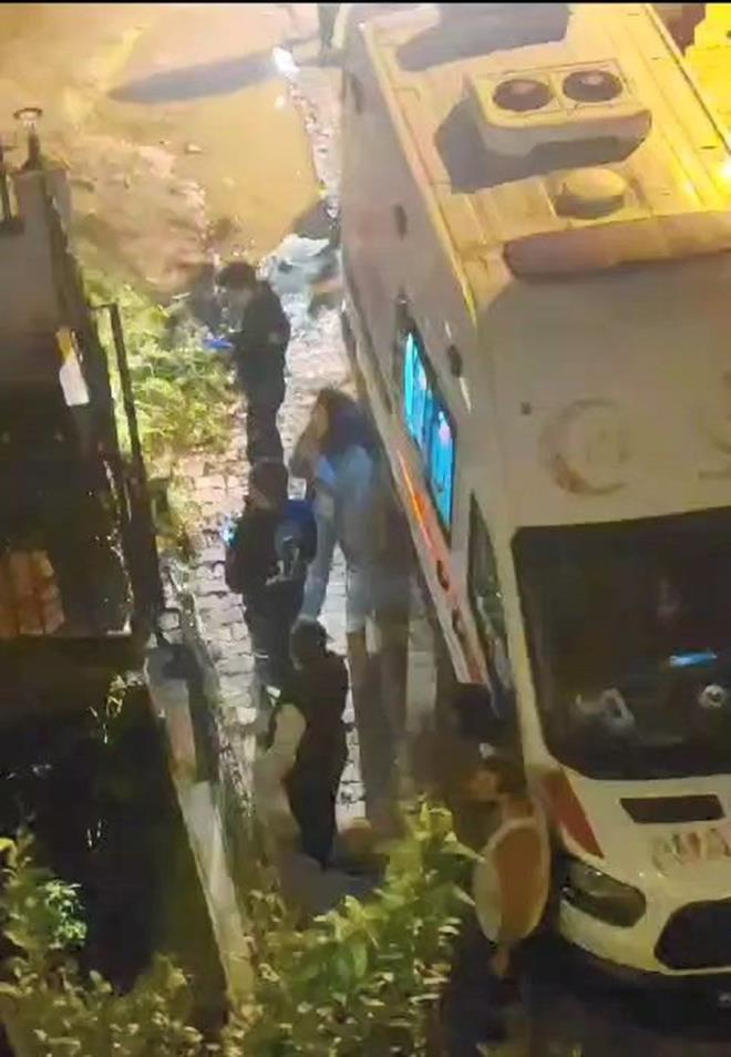 Olay, dn saat 22.00 sralarnda Beylikdz ilesi Dereaz Mahallesi'nde bulunan bir binann bahe katnda meydana geldi. ddiaya gre, Nazife B.'nin evde besledii pitbull cinsi kpek, S.S.G ile U.K.G isimli ocuklarn srarak yaralad.