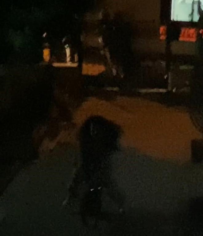 TARTIMA IKTI    Pitbull beslenmesi nedeniyle bina sakinleri arasnda tartma kt. Bina sakini bir kadn, "Yaklak 2 ay nce buraya tandlar. Kpek de kendisine ait srlan ocuk da kendisine ait. ocuu srm kolunda ar zedelenmeler var. Biz telefonla haber verdik. Kadn kendisi geldi ama ocuundan nce kpeine siper oldu, kpeime dokunmayn diye." ifadelerini kulland.    Nazife B. ise aklama yapmak istemedi.