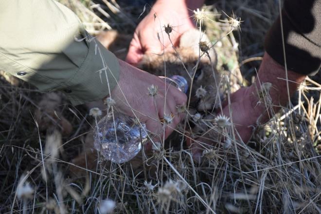 rencilerin grntleri ekerek haber vermesiyle ksa srede olay yerine giden yetkililer, evrede arama almalarna balad.