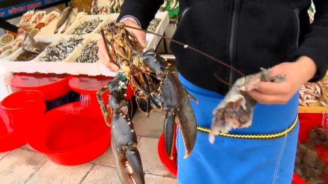"KAR YAARSA BALIK FYATLARI DB GRECEK"     Balk Muammer Ardu, "ki haftadr fiyatlar dmeye balad. nallah gzel bir kar yaarsa balk fiyatlar dibi grecek. Hamsi bollamaya balad. Bundan 1 ay ncesine kadar hamsinin kilosu 100-120 liraya kadar frlamt. u anda 50 liraya kadar dt hamsi. Dier balklar da lfer bal 150-200 liraya kadarken 125'e kadar t. Levrek bal olsun ipurada olsun fiyatlarda bir ufak gerileme var. Yani yzde 10 yzde 20 gerileme var." eklinde konutu.