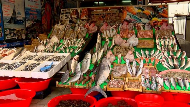 Balk halinin en pahal balklarndan birinin kalkan olduunu ifade eden Ardu, "Yani u anda kurbanlk diyelim biz buna. Kalkan bal tabi az kt iin, u grdnz kalkann kilosu bin 500 ile bin 600 lira arasnda deiiyor. nallah havalar souduu mddete bu balkta inanyorum ki 600 lira 700 liraya decektir." dedi.