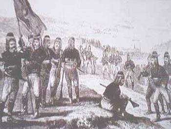 careli: Sadece snrlarda bulunan kent ve kalelerde kullanlan yerli topulardr. Bunlarn subaylar kukusuz topuluk bilgileri bulunmas gerektiinden Eyalet Paalarnn komutasnda bulunmak zere stanbul'dan gnderilirlerdi. Buna da Topi ya da Topu Aas denilirdi. Bu topulara cretli olarak altrlmalarndan icareli denmitir.