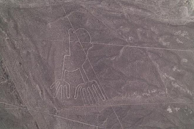 Erozyon ve iklim deiiklii ekilleri riske atarken aratrmaclar zamana kar yaryor.    Aratrmaclar mmkn olduunca ok sayda ekli tanmlamak ve korumak zorunludur vurgusu yapyor.