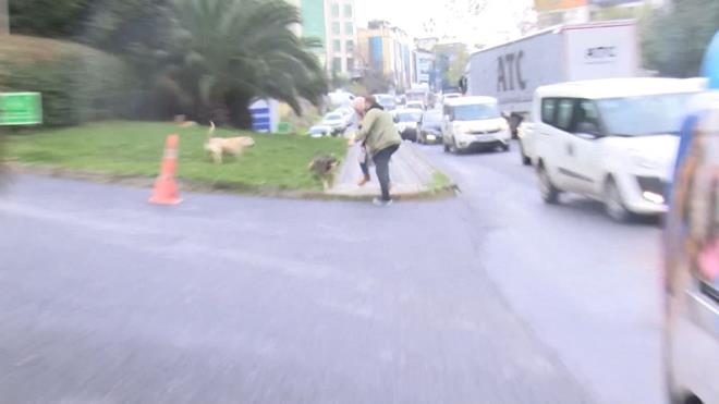 "STM BAIMI YIRTTILAR"    Kpeklerin saldrsndan yaralanan Naci alkan "Kaldrmda yrrken yeillik alandaki kpekler birden bire saldrd. Beni srp stm bam yrttlar. aknlk ierisindeyim, Baclar gibi bir meydanda bu kpeklerin burada ne ii var? Hepsi birden saldrd. Hala kpekler orada, birisi gese yine sracaklar." diye konutu.