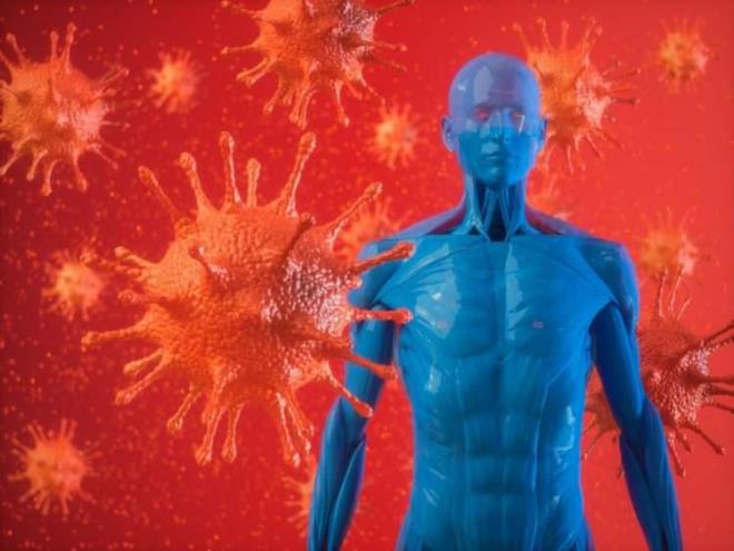 Baklk sistemini glendirmenin en etkili yolu ise doru beslenmek. Ayn zamanda glendirici bir orba takviyesinde bulunmak. Hem mevsim sebzelerinin ierdii vitamin, mineral ve faydal bileiklerden faydalanmay salayan hem lezzetli ve pratik bir k orbas hazrlamaya ne dersiniz?